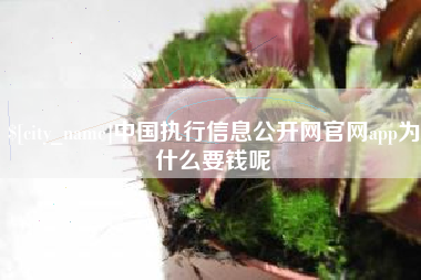 宁德中国执行信息公开网官网app为什么要钱呢