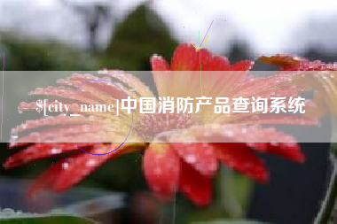 宁德中国消防产品查询系统