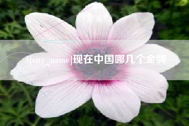 宁德现在中国哪几个金牌