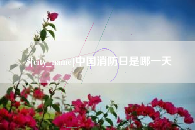 宁德中国消防日是哪一天