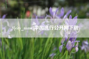 宁德中国执行公开网下载