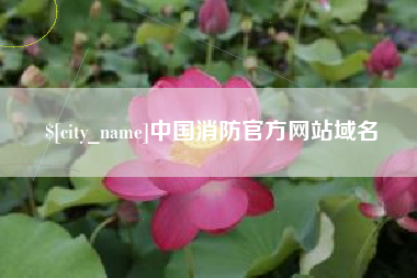宁德中国消防官方网站域名