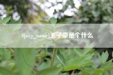 宁德王子豪是个什么