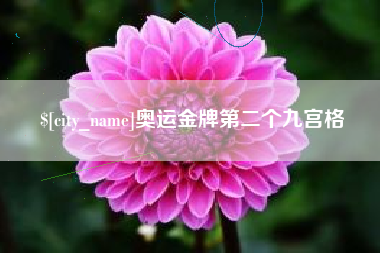 宁德奥运金牌第二个九宫格