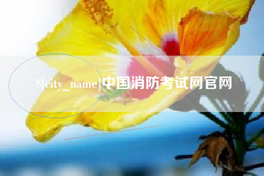 宁德中国消防考试网官网