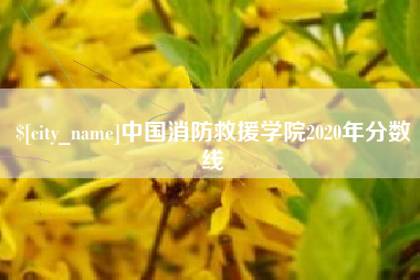 宁德中国消防救援学院2020年分数线