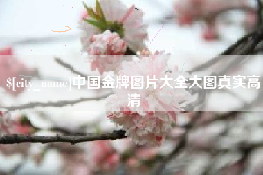 宁德中国金牌图片大全大图真实高清