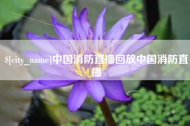 宁德中国消防直播回放中国消防直播
