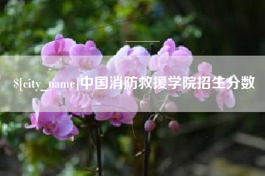 宁德中国消防救援学院招生分数