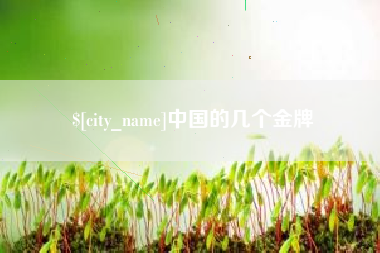 宁德中国的几个金牌