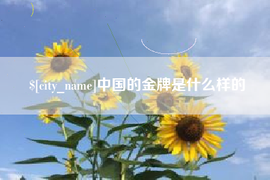 宁德中国的金牌是什么样的
