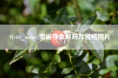 宁德奥运夺金时刻九宫格图片