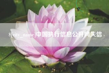 宁德中国执行信息公开网失信