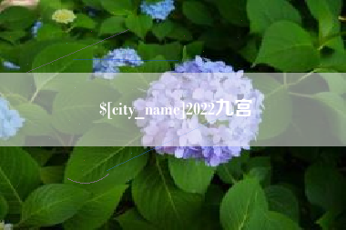 宁德2022九宫