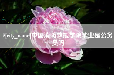 宁德中国消防救援学院毕业是公务员吗