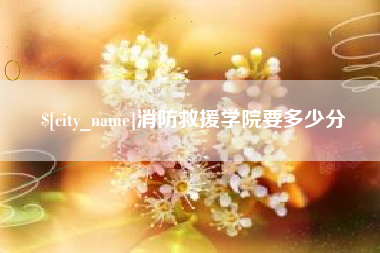 宁德消防救援学院要多少分