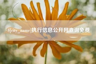 宁德执行信息公开网查询免费